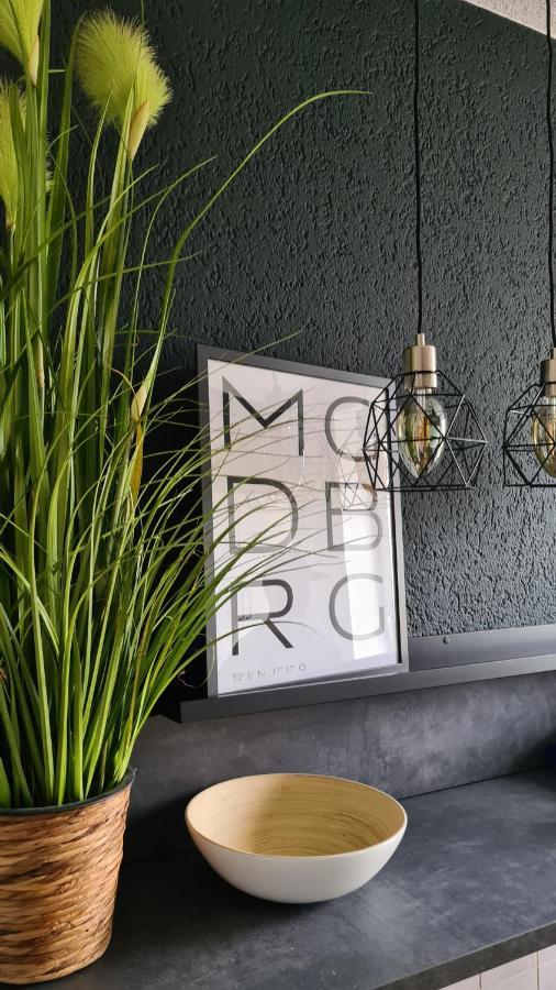 Ferienwohnung, Monteurwohnung, Unterkunft Elise マクデブルク エクステリア 写真